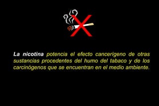 La nicotina potencia el efecto cancerígeno de otras
sustancias procedentes del humo del tabaco y de los
carcinógenos que se encuentran en el medio ambiente.
 