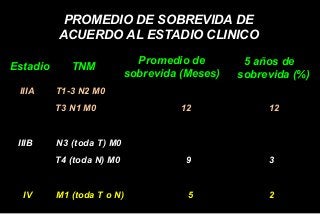IIIA T1-3 N2 M0
T3 N1 M0 12 12
IIIB N3 (toda T) M0
T4 (toda N) M0 9 3
IV M1 (toda T o N) 5 2
PROMEDIO DE SOBREVIDA DE
ACUERDO AL ESTADIO CLINICO
EstadioEstadio TNM
Promedio de
sobrevida (Meses)
5 años de
sobrevida (%)
 