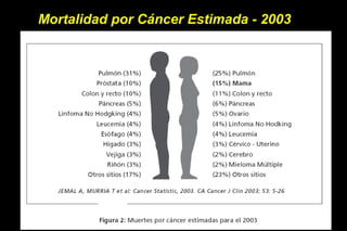 Mortalidad por Cáncer Estimada - 2003
 