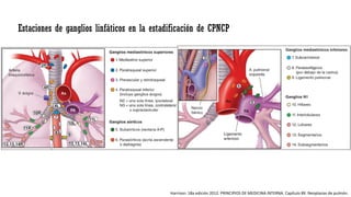 Estaciones de ganglios linfáticos en la estadificación de CPNCP
Harrison. 18a edición 2012. PRINCIPIOS DE MEDICINA INTERNA. Capítulo 89. Neoplasias de pulmón.
 