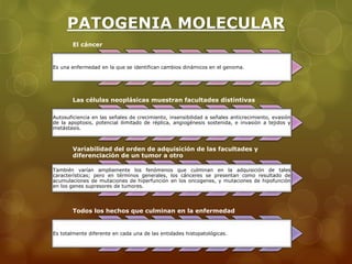 PATOGENIA MOLECULAR 
El cáncer 
Es una enfermedad en la que se identifican cambios dinámicos en el genoma. 
Las células neoplásicas muestran facultades distintivas 
Autosuficiencia en las señales de crecimiento, insensibilidad a señales anticrecimiento, evasión 
de la apoptosis, potencial ilimitado de réplica, angiogénesis sostenida, e invasión a tejidos y 
metástasis. 
Variabilidad del orden de adquisición de las facultades y 
diferenciación de un tumor a otro 
También varían ampliamente los fenómenos que culminan en la adquisición de tales 
características; pero en términos generales, los cánceres se presentan como resultado de 
acumulaciones de mutaciones de hiperfunción en los oncogenes, y mutaciones de hipofunción 
en los genes supresores de tumores. 
Todos los hechos que culminan en la enfermedad 
Es totalmente diferente en cada una de las entidades histopatológicas. 
 