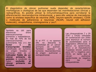 El diagnóstico de cáncer pulmonar suele depender de características 
morfológicas o citológicas de las que dependen las manifestaciones clínicas y 
radiográficas. Es posible utilizar la inmunohistoquímica para corroborar la 
diferenciación neuroendocrina intratumoral, y para ello valerse de marcadores 
como la enolasa específica de neurona (NSE, neuron-specific enolase); CD56 
o moléculas de adherencia a neuronas (NCAM, neural cell adhesion 
molecule); sinaptofisina, cromogranina y Leu7. 
También es útil para 
diferenciar entre 
adenocarcinomas 
primarios y metastásicos. 
En más de 70% de los 
adenocarcinomas 
pulmonares hay (+) del 
factor 1 de 
transcripción tiroidea 
identificado en tumores 
de origen tiroideo y 
pulmonar, éste es un 
indicador fiable de un 
cáncer primario de 
pulmón, a condición de 
haber excluido el 
cáncer primario de 
tiroides. 
Si el FTT -1 no aparece 
ello no descarta la 
posibilidad de un cáncer 
primario de pulmón. 
También aparece en 
tumores neuroendocrinos 
de origen pulmonar y 
extrapulmonar. 
Las citoqueratinas 7 y 20 
(CK7 y CK20) utilizadas 
en combinación son útiles 
para disminuir el número 
de posibilidades para el 
diagnóstico diferencial; el 
NSCLC no epidermoide, 
SCLC y el mesotelioma 
muestran tinción positiva 
para CK7 y negativa para 
CK20, en tanto que el 
cáncer pulmonar 
epidermoide es negativo 
para las dos 
citoqueratinas. 
 