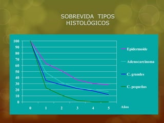 100 
90 
80 
70 
60 
50 
40 
30 
20 
10 
0 
0 1 2 3 4 5 
Epidermoide 
Adenocarcinoma 
C. grandes 
C. pequeñas 
Años 
 
