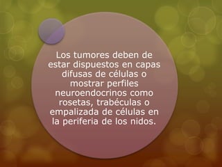 Los tumores deben de 
estar dispuestos en capas 
difusas de células o 
mostrar perfiles 
neuroendocrinos como 
rosetas, trabéculas o 
empalizada de células en 
la periferia de los nidos. 
 