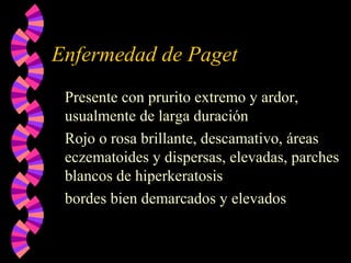 Enfermedad de Paget
Presente con prurito extremo y ardor,
usualmente de larga duración
Rojo o rosa brillante, descamativo, áreas
eczematoides y dispersas, elevadas, parches
blancos de hiperkeratosis
bordes bien demarcados y elevados
 