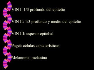 VIN I: 1/3 profundo del epitelio
VIN II: 1/3 profundo y medio del epitelio
VIN III: espesor epitelial
Paget: células características
Melanoma: melanina
 