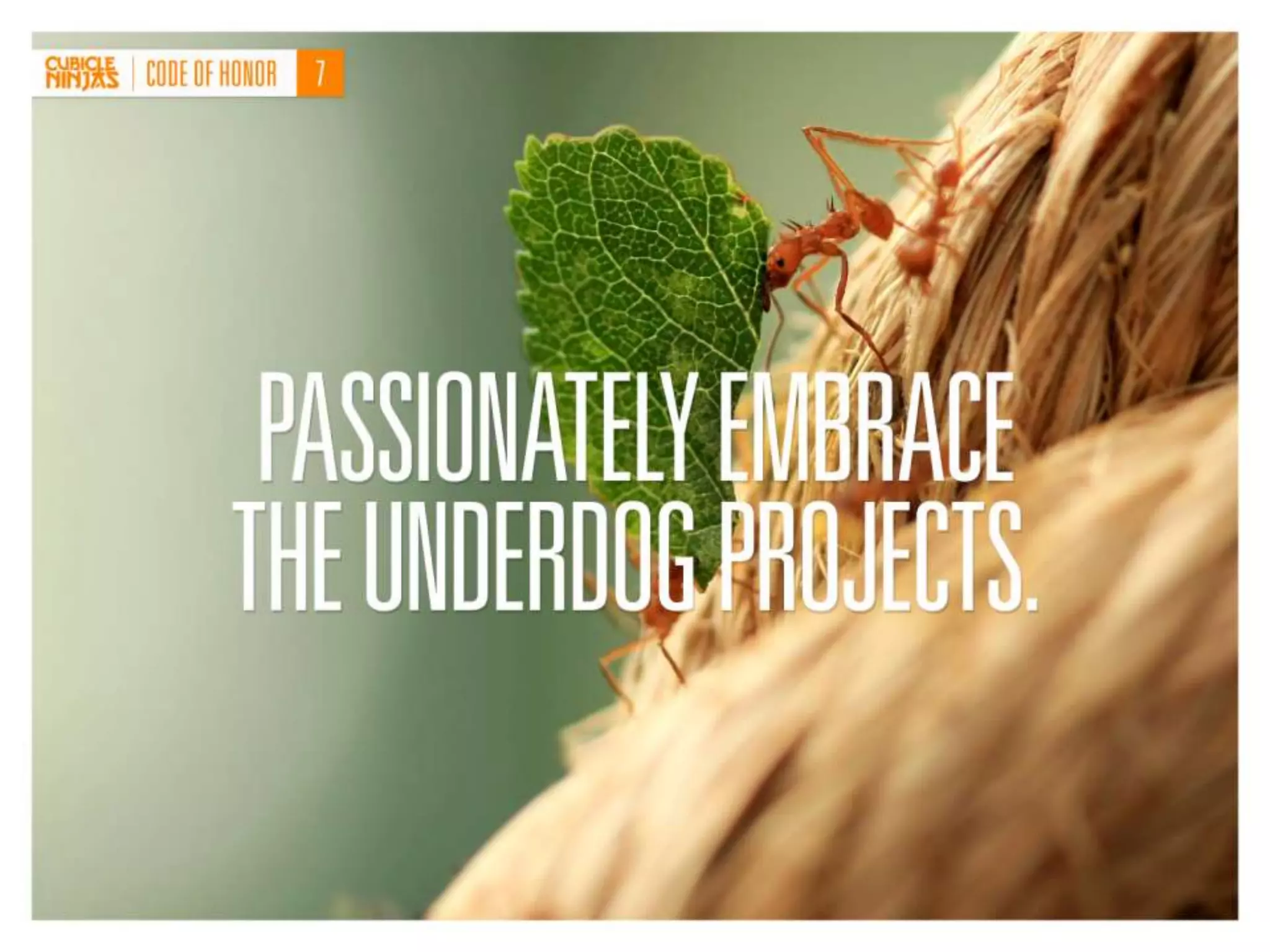 Cubicle Ninjas' Code of Honor