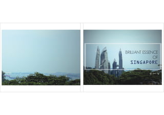 Brilliant essence of Singapore Photobook
