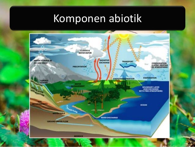 Ekosistem biologi kls x Ekosistem biologi kls x
