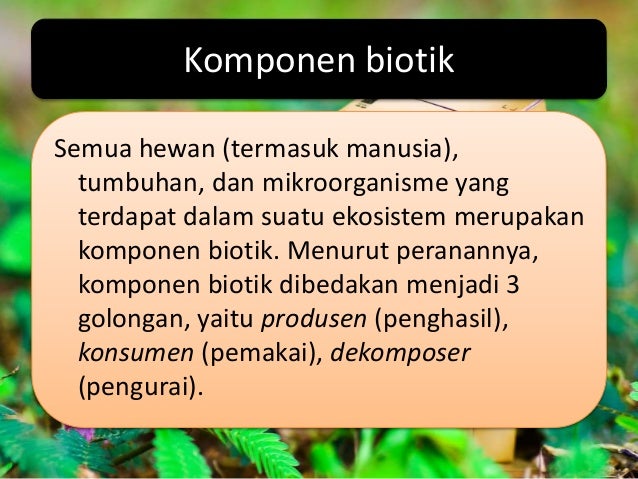 Ekosistem biologi kls_x
