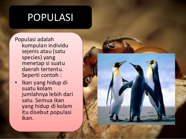 Ekosistem biologi kls_x