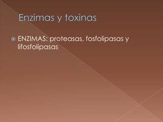 

ENZIMAS: proteasas, fosfolipasas y
lifosfolipasas

 
