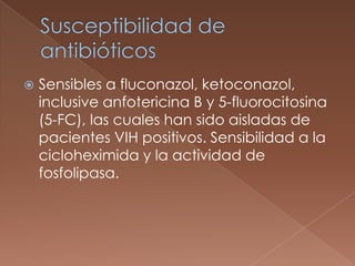 

Sensibles a fluconazol, ketoconazol,
inclusive anfotericina B y 5-fluorocitosina
(5-FC), las cuales han sido aisladas de
pacientes VIH positivos. Sensibilidad a la
cicloheximida y la actividad de
fosfolipasa.

 