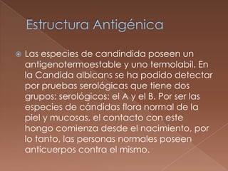 

Las especies de candindida poseen un
antigenotermoestable y uno termolabil. En
la Candida albicans se ha podido detectar
por pruebas serológicas que tiene dos
grupos: serológicos: el A y el B. Por ser las
especies de cándidas flora normal de la
piel y mucosas, el contacto con este
hongo comienza desde el nacimiento, por
lo tanto, las personas normales poseen
anticuerpos contra el mismo.

 