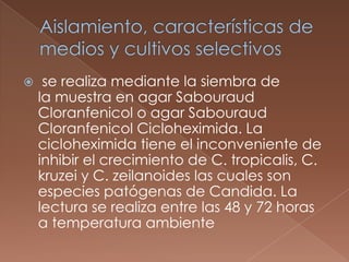 

se realiza mediante la siembra de
la muestra en agar Sabouraud
Cloranfenicol o agar Sabouraud
Cloranfenicol Cicloheximida. La
cicloheximida tiene el inconveniente de
inhibir el crecimiento de C. tropicalis, C.
kruzei y C. zeilanoides las cuales son
especies patógenas de Candida. La
lectura se realiza entre las 48 y 72 horas
a temperatura ambiente

 