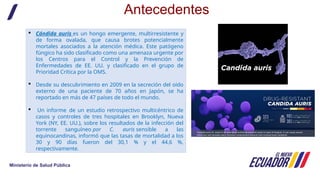 Comprehensive Surveillance and Control of Candida auris in Healthcare ...