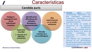 Comprehensive Surveillance and Control of Candida auris in Healthcare ...