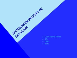 o   Luna Molina Ferrer
o   6ºb
o   IJME
o   2012
 