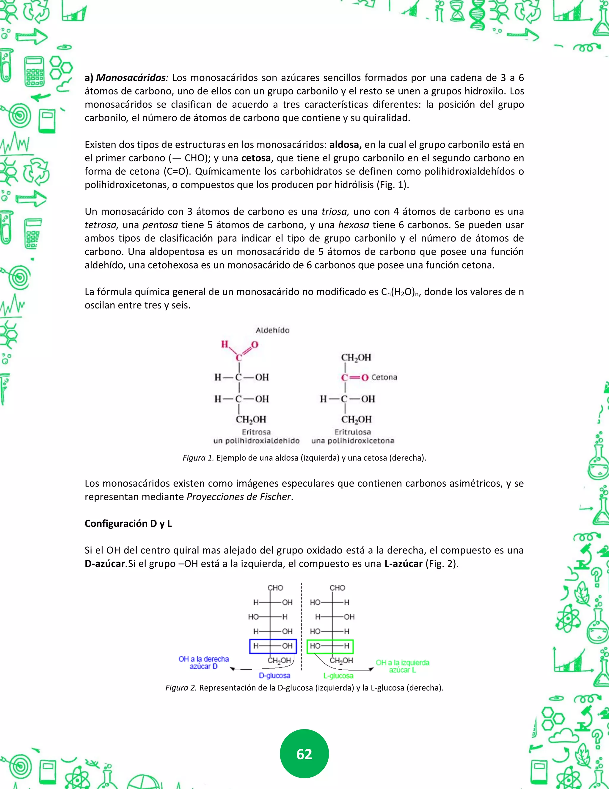 6262
a) Monosacáridos: Los monosacáridos son azúcares sencillos formados por una cadena de 3 a 6
átomos de carbono, uno de ellos con un grupo carbonilo y el resto se unen a grupos hidroxilo. Los
monosacáridos se clasifican de acuerdo a tres características diferentes: la posición del grupo
carbonilo, el número de átomos de carbono que contiene y su quiralidad.
Existen dos tipos de estructuras en los monosacáridos: aldosa, en la cual el grupo carbonilo está en
el primer carbono (— CHO); y una cetosa, que tiene el grupo carbonilo en el segundo carbono en
forma de cetona (C=O). Químicamente los carbohidratos se definen como polihidroxialdehídos o
polihidroxicetonas, o compuestos que los producen por hidrólisis (Fig. 1).
Un monosacárido con 3 átomos de carbono es una triosa, uno con 4 átomos de carbono es una
tetrosa, una pentosa tiene 5 átomos de carbono, y una hexosa tiene 6 carbonos. Se pueden usar
ambos tipos de clasificación para indicar el tipo de grupo carbonilo y el número de átomos de
carbono. Una aldopentosa es un monosacárido de 5 átomos de carbono que posee una función
aldehído, una cetohexosa es un monosacárido de 6 carbonos que posee una función cetona.
La fórmula química general de un monosacárido no modificado es Cn(H2O)n, donde los valores de n
oscilan entre tres y seis.
Figura 1. Ejemplo de una aldosa (izquierda) y una cetosa (derecha).
Los monosacáridos existen como imágenes especulares que contienen carbonos asimétricos, y se
representan mediante Proyecciones de Fischer.
Configuración D y L
Si el OH del centro quiral mas alejado del grupo oxidado está a la derecha, el compuesto es una
D-azúcar.Si el grupo –OH está a la izquierda, el compuesto es una L-azúcar (Fig. 2).
Figura 2. Representación de la D-glucosa (izquierda) y la L-glucosa (derecha).
 