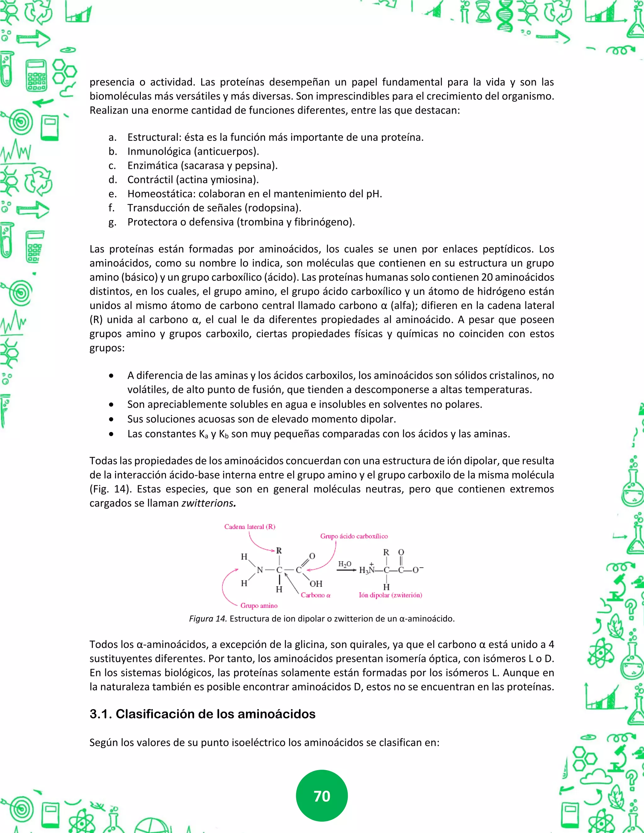 7070
presencia o actividad. Las proteínas desempeñan un papel fundamental para la vida y son las
biomoléculas más versátiles y más diversas. Son imprescindibles para el crecimiento del organismo.
Realizan una enorme cantidad de funciones diferentes, entre las que destacan:
a. Estructural: ésta es la función más importante de una proteína.
b. Inmunológica (anticuerpos).
c. Enzimática (sacarasa y pepsina).
d. Contráctil (actina ymiosina).
e. Homeostática: colaboran en el mantenimiento del pH.
f. Transducción de señales (rodopsina).
g. Protectora o defensiva (trombina y fibrinógeno).
Las proteínas están formadas por aminoácidos, los cuales se unen por enlaces peptídicos. Los
aminoácidos, como su nombre lo indica, son moléculas que contienen en su estructura un grupo
amino (básico) y un grupo carboxílico (ácido). Las proteínas humanas solo contienen 20 aminoácidos
distintos, en los cuales, el grupo amino, el grupo ácido carboxílico y un átomo de hidrógeno están
unidos al mismo átomo de carbono central llamado carbono α (alfa); difieren en la cadena lateral
(R) unida al carbono α, el cual le da diferentes propiedades al aminoácido. A pesar que poseen
grupos amino y grupos carboxilo, ciertas propiedades físicas y químicas no coinciden con estos
grupos:
 A diferencia de las aminas y los ácidos carboxilos, los aminoácidos son sólidos cristalinos, no
volátiles, de alto punto de fusión, que tienden a descomponerse a altas temperaturas.
 Son apreciablemente solubles en agua e insolubles en solventes no polares.
 Sus soluciones acuosas son de elevado momento dipolar.
 Las constantes Ka y Kb son muy pequeñas comparadas con los ácidos y las aminas.
Todas las propiedades de los aminoácidos concuerdan con una estructura de ión dipolar, que resulta
de la interacción ácido-base interna entre el grupo amino y el grupo carboxilo de la misma molécula
(Fig. 14). Estas especies, que son en general moléculas neutras, pero que contienen extremos
cargados se llaman zwitterions.
Figura 14. Estructura de ion dipolar o zwitterion de un α-aminoácido.
Todos los α-aminoácidos, a excepción de la glicina, son quirales, ya que el carbono α está unido a 4
sustituyentes diferentes. Por tanto, los aminoácidos presentan isomería óptica, con isómeros L o D.
En los sistemas biológicos, las proteínas solamente están formadas por los isómeros L. Aunque en
la naturaleza también es posible encontrar aminoácidos D, estos no se encuentran en las proteínas.
3.1. Clasificación de los aminoácidos
Según los valores de su punto isoeléctrico los aminoácidos se clasifican en:
 