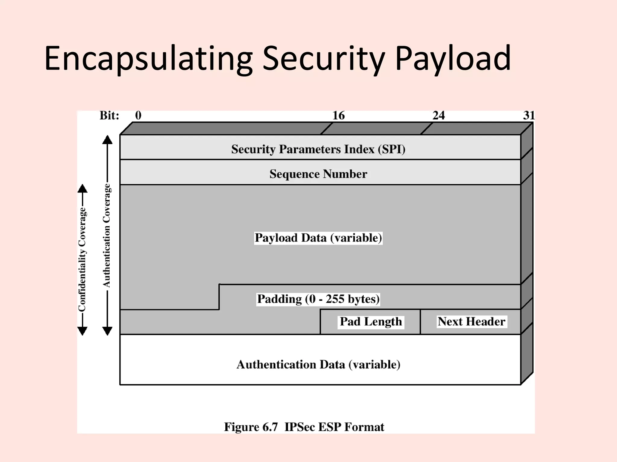 Encapsulating Security Payload
 