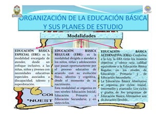ORGANIZACIÓN DE LA EDUCACIÓN BÁSICA
Y SUS PLANES DE ESTUDIO
Modalidades
EDUCACIÓN BÁSICA
ESPECIAL (EBE): es la
modalidad encargada de
atender, desde un
enfoque inclusivo, a las
niñas, niños y jóvenes con
necesidades educativas
especiales asociados a
discapacidad, talento y
superdotación.
EDUCACIÓN BÁSICA
REGULAR (EBR): es la
modalidad dirigida a atender a
los niños, niñas y adolescentes
que pasan oportunamente por
el proceso educativo de
acuerdo con su evolución
física, afectiva y cognitiva,
desde el momento de su
nacimiento.
Esta modalidad se organiza en
tres niveles: Educación Inicial,
Educación Primaria y
Educación Secundaria; y en
siete ciclos.
EDUCACIÓN BÁSICA
ALTERNATIVA (EBA): Conforme
a la Ley, la EBA tiene los mismos
objetivos y ofrece una calidad
equivalente a la Educación Básica
Regular, en los niveles de
Educación Primaria y de
Educación Secundaria.
La Educación Básica Alternativa
se organiza por ciclos: inicial,
intermedio y avanzado. Los ciclos
y grados de los programas de
Educación Básica Alternativa son
de duración flexible.
Mg. JASA
 