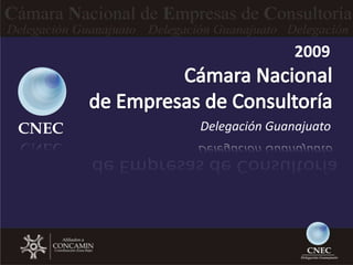 2009



CNEC   Delegación Guanajuato
 