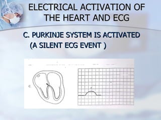 ELECTRICAL ACTIVATION OF THE HEART AND ECG C. PURKINJE SYSTEM IS ACTIVATED  (A SILENT ECG EVENT ) 