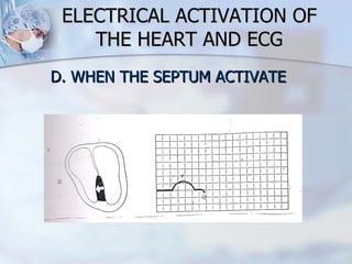 ELECTRICAL ACTIVATION OF THE HEART AND ECG D. WHEN THE SEPTUM ACTIVATE 