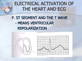 ELECTRICAL ACTIVATION OF THE HEART AND ECG F. ST SEGMENT AND THE T WAVE  - MEANS VENTRICULAR REPOLARIZATION 