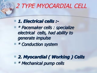 2 TYPE MYOCARDIAL CELL   1. Electrical cells :- * Pacemaker cells : specialize  electrical  cells, had ability to generate impulse * Conduction system 2. Myocardial ( Working ) Cells   * Mechanical pump cells 