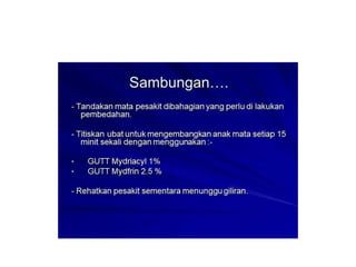 Cne katarak by Sn Syariza