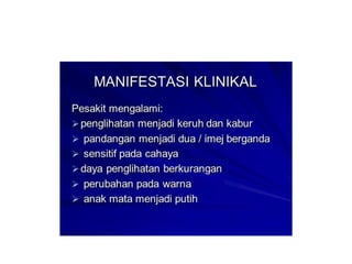 Cne katarak by Sn Syariza