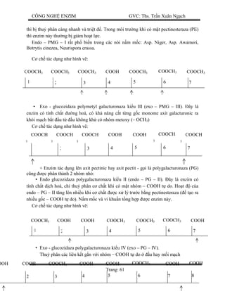 CÔNG NGH ENZIM GVC: Ths. Tr n Xuân Ng ch
Trang: 61
thì b thu phân càng nhanh và tri t . Trong môi tr ng khi có m t pectinesteraza (PE)
thì enzim này th ng b gi m ho t l c.
Endo – PMG – I r t ph bi n trong các nòi n m m c: Asp. Niger, Asp. Awamori,
Botrytis cinezea, Neurispora crassa.
ch tác d ng nh hình v :
• Exo - glucozidaza polymetyl galacturonaza ki u III (exo – PMG – III). ây là
enzim có tính ch t ng hoá, có kh n ng c t t ng g c monome axit galacturonic ra
kh i m ch b t u t u không kh có nhóm metoxy (– OCH3)
ch tác d ng nh hình v :
+ Enzim tác d ng lên axit pectinic hay axit pectit - g i là polygalacturonaza (PG)
ng c phân thành 2 nhóm nh :
• Endo glucozidaza polygalacturonaza ki u II (endo – PG – II). ây là enzim có
tính ch t d ch hoá, ch thu phân c ch t khi có m t nhóm – COOH t do. Ho t c a
endo – PG – II t ng lên nhi u khi c ch t c x lý tr c b ng pectinesteraza ( t o ra
nhi u g c – COOH t do). N m m c và vi khu n t ng h p c enzim này.
ch tác d ng nh hình v :
• Exo - glucozidaza polygalacturonaza ki u IV (exo – PG – IV).
Thu phân các liên k t g n v i nhóm – COOH t do u hay m i m ch
COOCH3 COOCH3 COOH COOCH3 COOCH3COOCH3COOCH3
1 2 3 4 5 6 7
COOCH
3
COOCH
3
COOH COOH COOCH
3
COOCH
3
COOCH
3
1 2 3 4 5 6 7
COOCH3 COOH COOCH3 COOCH3 COOHCOOCH3COOH
1 2 3 4 5 6 7
OOH COOCH3 COOH COOH COOHCOOCH3COOH
1 2 3 4 5 6 7
COOH
8
 