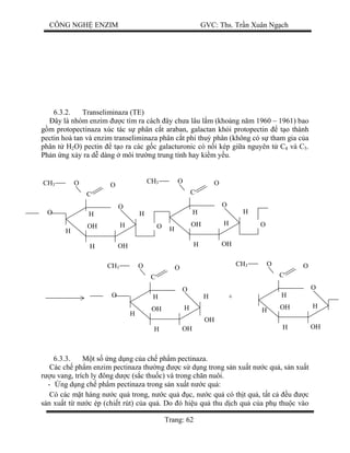 CÔNG NGH ENZIM GVC: Ths. Tr n Xuân Ng ch
Trang: 62
6.3.2. Transeliminaza (TE)
ây là nhóm enzim c tìm ra cách ây ch a lâu l m (kho ng n m 1960 – 1961) bao
m protopectinaza xúc tác s phân c t araban, galactan kh i protopectin t o thành
pectin hoà tan và enzim transeliminaza phân c t phi thu phân (không có s tham gia c a
phân t H2O) pectin t o ra các g c galacturonic có n i kép gi a nguyên t C4 và C5.
Ph n ng x y ra d dàng môi tr ng trung tính hay ki m y u.
6.3.3. t s ng d ng c a ch ph m pectinaza.
Các ch ph m enzim pectinaza th ng c s d ng trong s n xu t n c qu , s n xu t
u vang, trích ly ông d c (s c thu c) và trong ch n nuôi.
- ng d ng ch ph m pectinaza trong s n xu t n c qu :
Có các m t hàng n c qu trong, n c qu c, n c qu có th t qu , t t c u c
n xu t t n c ép (chi t rút) c a qu . Do ó hi u qu thu d ch qu c a ph thu c vào
H
O
H OH
OH H
C
H HO
OOCH3
O H
O
H OH
OH H
C
H H
OOCH3
O
H
O
H OH
OH H
C
H HO
OOCH3
O
H OH
OH H
C
H
OOCH3
OH
H
+
 
