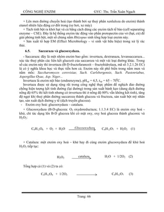 CÔNG NGH ENZIM GVC: Ths. Tr n Xuân Ng ch
Trang: 66
+ Lên men ng chuy n hoá (t o thành b i s thu phân xenluloza do enzim) thành
etanol nhiên li u ng c t trong (xe h i, xe máy)
+ Tách tinh b t ra kh i h t và c b ng cách dùng các enzim tách t bào (cell separating
enzyme – CSE). ây là h th ng enzim tác ng vào ph n protopectin c a v (h t, c )
gi i phóng tinh b t, m t s ch ng n m Rhizopus sinh t ng h p lo i enzim này.
+ S n xu t t h p EM (Effect Microbiology – vi sinh v t h u hi u) trong x lý rác
th i.
6.5. Saccaraza và glucooxydaza.
- Saccaraza: ây là m t nhóm enzim bao g m: invertaza, dextranaza, levansaccaraza...
xúc tác thu phân các liên k t glucozit c a saccaroza và m t vài lo i ng khác. Trong
các enzim này thì invertaza (B-D-fructofaranozit – fructohidrolaza, mã s 3.2.1.26 EC)
là có ý ngh a khoa h c và th c ti n h n c . Enzim này r t ph bi n trong n m men và
m m c: Saccharomyces cerevisiae, Sach. Carlsbergensis, Sach. Pastenriabus,
Aspergillus Oyae, Asp. Niger...
Invertaza là enzim n i bào (endoenzyme), pHop = 4,5, top = 65 – 700
C.
Invertaza c s d ng r ng rãi trong công ngh th c ph m ngh ch o ng
ch ng hi n t ng k t tinh ng (l i ng) trong s n xu t bánh k o (dung d ch ng
ng 65% thì k t tinh nh ng có invertaza thì n ng 80% v n không k t tinh), t ng
ng t khi thu phân ng saccaroza thành glucoza và fructoza, s n xu t b t m nhân
o, s n xu t d ch ng y t (d ch truy n glucoza).
- Enzim oxy hoá: glucooxydaza – catalaza.
+ Glucooxydaza (B-D-glucoza: O2 oxydoreductaza; 1.1.3.4 EC) là enzim oxy hoá -
kh , ch tác d ng lên B-D glucoza khi có m t oxy, oxy hoá glucoza thành gluconic và
H2O2:
+ Catalaza: m t enzim oxy hoá – kh hay i cùng enzim glucooxydaza kh hoá
H2O2 ti p t c:
ng h p c (1) và (2) ta có:
C6H12O6 + O2 + H2O Glucooxydaza C6H12O7 + H2O2 (1)
H2O2
catalaza H2O + 1/2O2 (2)
C6H12O6 + 1/2O2 C6H12O7 (3)
 