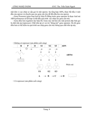 CÔNG NGH ENZIM GVC: Ths. Tr n Xuân Ng ch
Trang: 8
t n v sao chép s c p g i là m t operon. S t ng h p ARNtt c b t u m t
u c a operon và chuy n qua các gene c u trúc n u kia c a operon.
- Gene Promotor (gene ho t hoá ký hi u P) ng tr c gene operator là n And mà
ARN-polimeraza s k t h p và b t u quá trình sao chép các gene c u trúc.
- Gene u hoà regulator (ký hi u R): Gene này mã hoá cho m t protein c bi t g i
là ch t tr n áp (repressor). Ch t tr n áp có vai trò “ óng-m ” gene operator. Do ó gene
u hoà có th ki m tra quá trình sao chép gene c u trúc thông qua ch t tr n áp này.
+ Không có repressor (s n ph m cu i cùng)
R P O S1 S2 S3 ADN
E3E2E1
A B C D
ARNtt
+ Có repressor (s n ph m cu i cùng):
Phiên mã
 