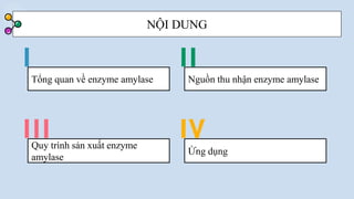 I II
III IV
Tổng quan về enzyme amylase Nguồn thu nhận enzyme amylase
Quy trình sản xuất enzyme
amylase
Ứng dụng
NỘI DUNG
 