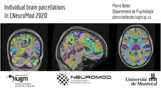 Individual brain parcellations
in CNeuroMod 2020
Pierre Bellec
Département de Psychologie
pierre.bellec@criugm.qc.ca
 
