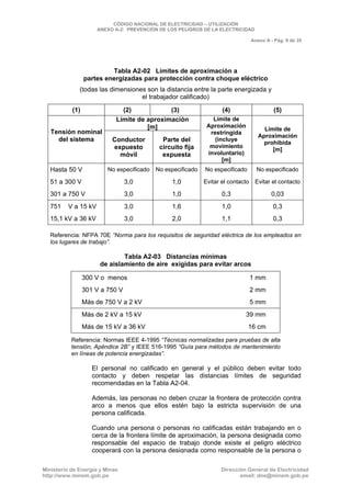 CNE Utilización 2006