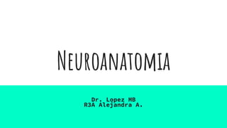 Neuroanatomia
Dr. Lopez MB
R3A Alejandra A.
 