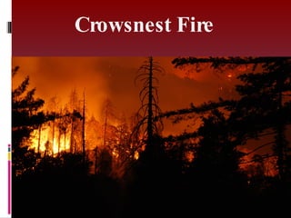 Crowsnest Fire 