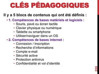 CLÉS PÉDAGOGIQUES
Il y a 5 blocs de contenus qui ont été définis :
• 1. Compétences de bases matériels et logiciels :
• Souris, pavé ou écran tactile
• Clavier physique ou numérique
• Tablette ou smartphone
• Utiliser/naviguer dans un OS
• 2. Compétences de bases internet :
• Connexion / Inscription
• Recherche d’informations
• Compte e-mail
• Sécurité active
• Protection antivirus
• Confidentialité et vol d’identité
255
 