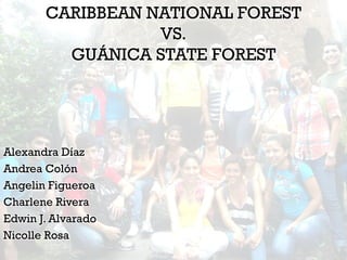 CARIBBEAN NATIONAL FOREST
                  VS.
         GUÁNICA STATE FOREST




Alexandra Díaz
Andrea Colón
Angelin Figueroa
Charlene Rivera
Edwin J. Alvarado
Nicolle Rosa
 