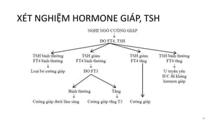 XÉT NGHIỆM HORMONE GIÁP, TSH
20
 
