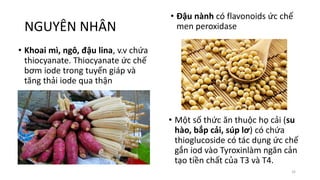 NGUYÊN NHÂN
• Đậu nành có flavonoids ức chế
men peroxidase
• Khoai mì, ngô, đậu lina, v.v chứa
thiocyanate. Thiocyanate ức chế
bơm iode trong tuyến giáp và
tăng thải iode qua thận
32
• Một số thức ăn thuộc họ cải (su
hào, bắp cải, súp lơ) có chứa
thioglucoside có tác dụng ức chế
gắn iod vào Tyroxinlàm ngăn cản
tạo tiền chất của T3 và T4.
 