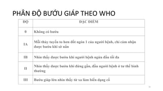 PHÂN ĐỘ BƯỚU GIÁP THEO WHO
35
 