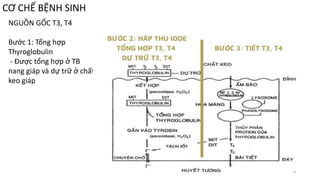 CƠ CHẾ BỆNH SINH
NGUỒN GỐC T3, T4
Bước 1: Tổng hợp
Thyroglobulin
- Được tổng hợp ở TB
nang giáp và dự trữ ở chất
keo giáp
4
 