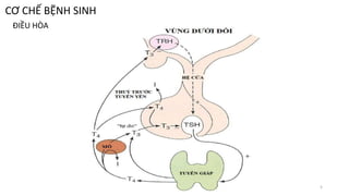 ĐIỀU HÒA
CƠ CHẾ BỆNH SINH
5
 