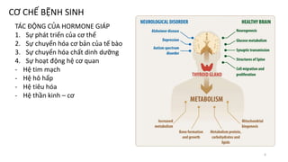 TÁC ĐỘNG CỦA HORMONE GIÁP
1. Sự phát triển của cơ thể
2. Sự chuyển hóa cơ bản của tế bào
3. Sự chuyển hóa chất dinh dưỡng
4. Sự hoạt động hệ cơ quan
- Hệ tim mạch
- Hệ hô hấp
- Hệ tiêu hóa
- Hệ thần kinh – cơ
CƠ CHẾ BỆNH SINH
6
 